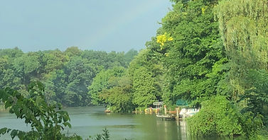 foresthills-1.jpg