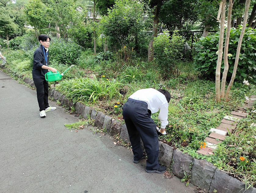 IMG_20260610_165917.jpg