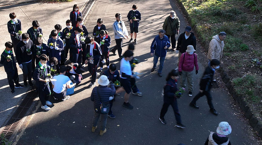 星槎高校 (21).JPG