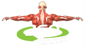 Logo-PNG.png