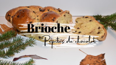Brioches Nature et Pépites de Chocolat 
