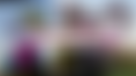 Décorer vos fenêtres pour Noël ~ Activité