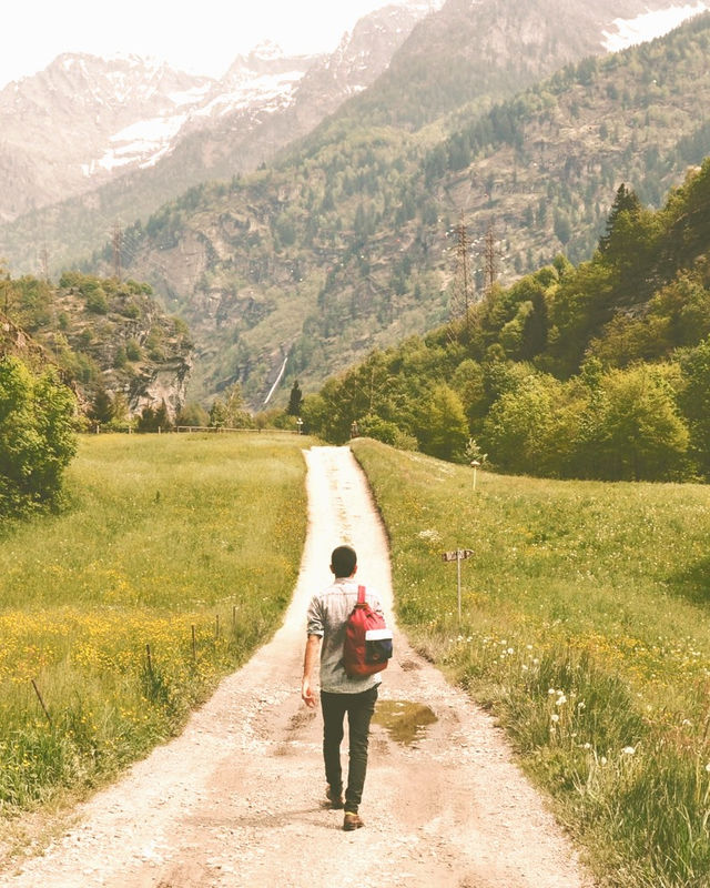 Wandering Traveler_edited.jpg