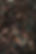 Youtube chamanisme