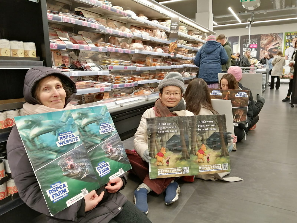 Animal Rising Michelle Protests at Supermarkets Across England After Animal Rising Uncover ...