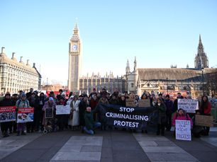 Chris Packham, Lush Cosmetics, and Law Firms Lead Calls To Withdraw Anti-Protest Legislation