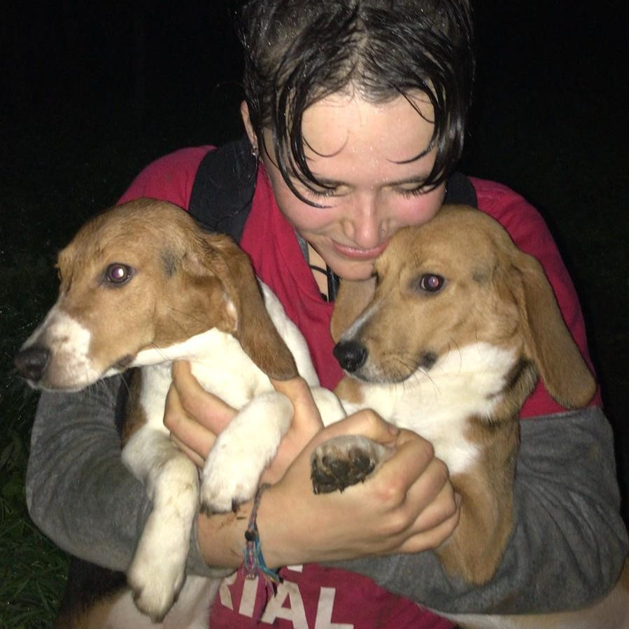 Animal Testing Fact Sheet