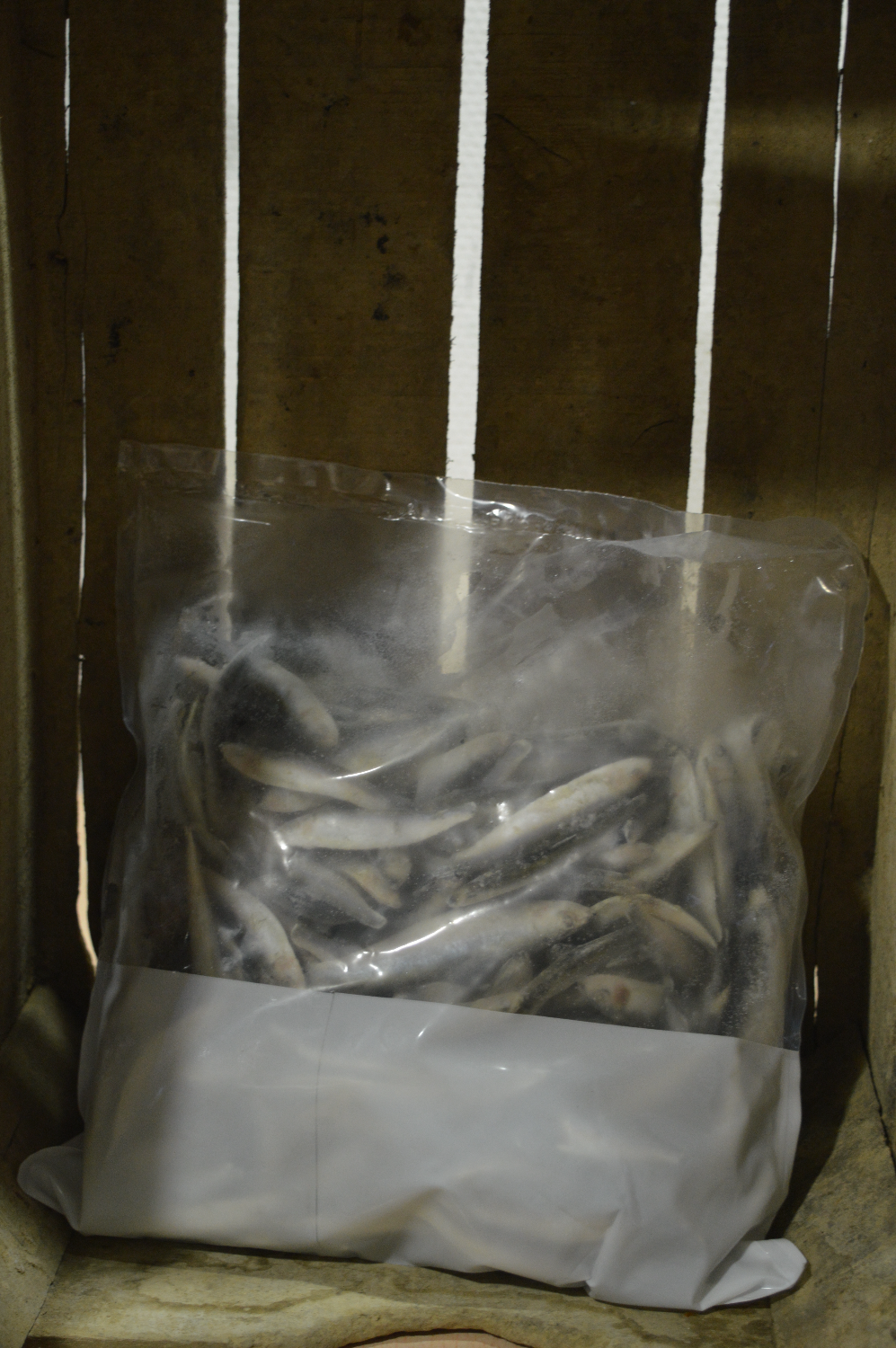 Petite friture sac de 900gr