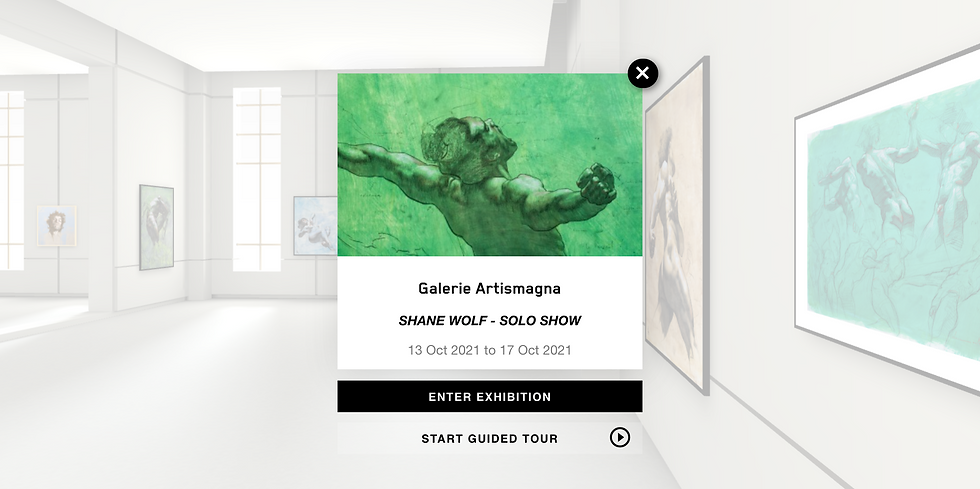 exposition-virtuelle-shane-wolf-galerie-artismagna.png