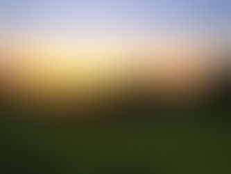 ACCEPTS: The DBT Skill for Getting Through a Crisis Without Making It Worse