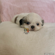 IMG_8037.png
