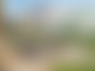 Opening in June 2026