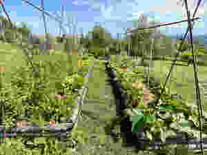 Nice place to be a garden.