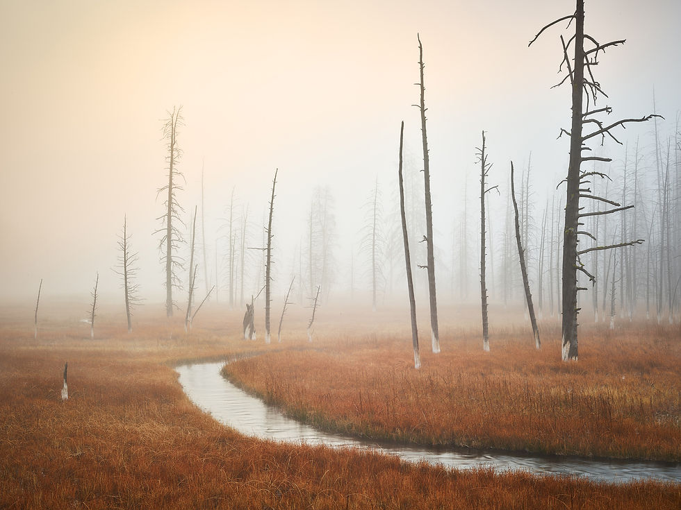 Thumbnail: Dawn Near Midway Geyser Basin