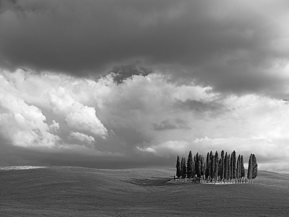 Thumbnail: Circle of Cypress, Val D'Orcia