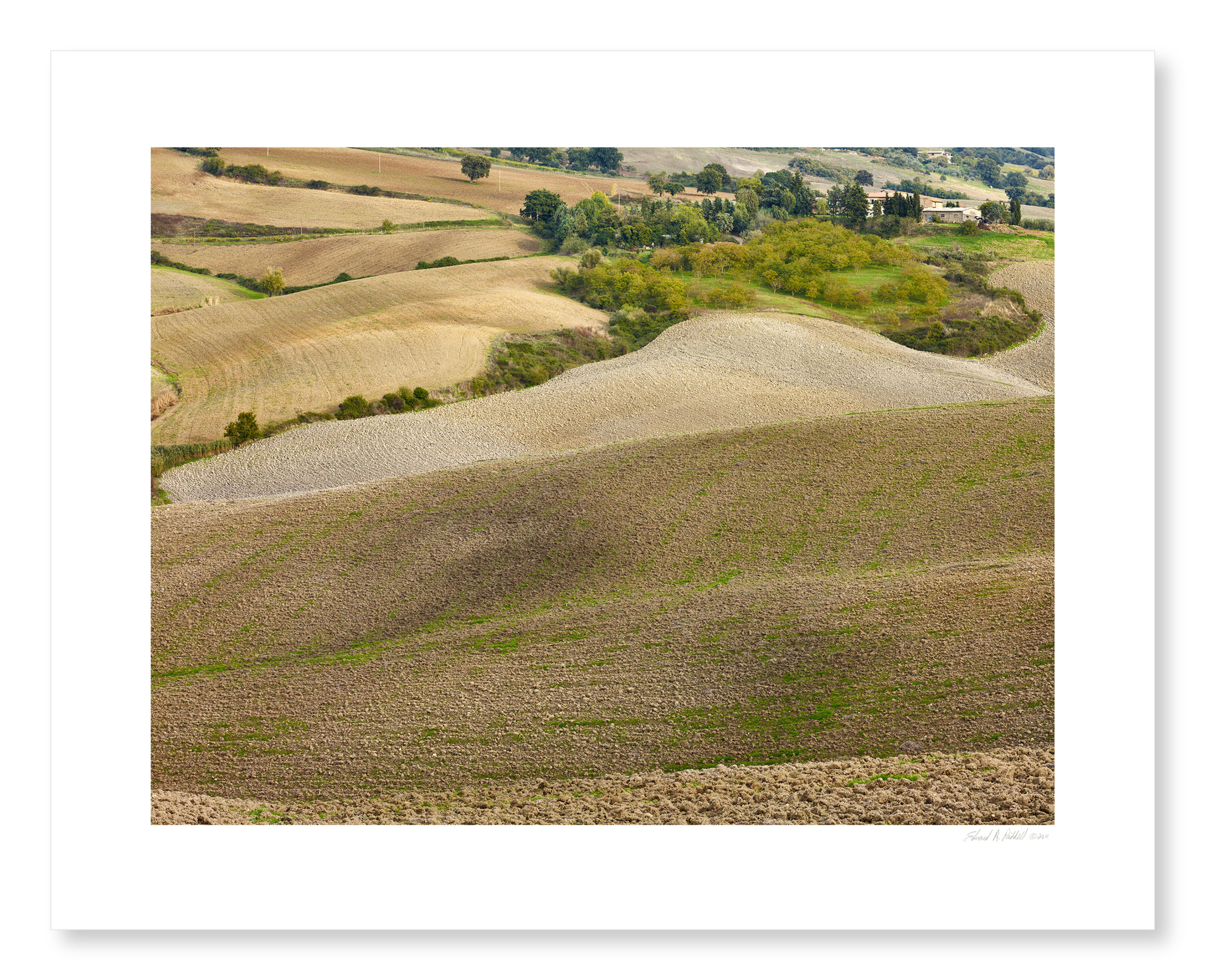 Fall Fields Near Monticchiello