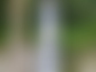 A First In Montalcino