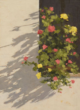 Flowers, Shadow On Wiindowsill III.jpg