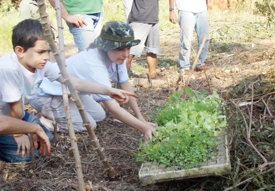 Foto adulto e criança plantando