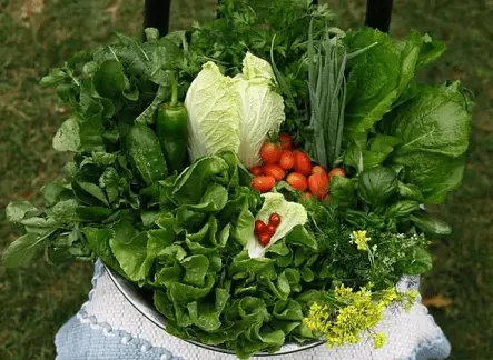 Foto de uma cesta de alimentos orgânicos