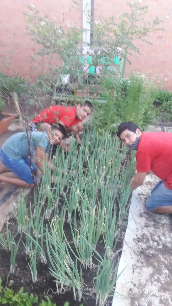 Foto de crianças aprendendo agricultura orgânica