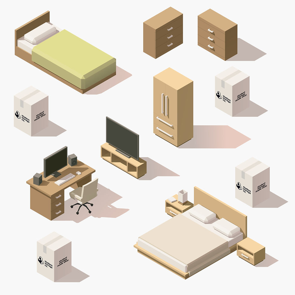 Student Storage Co room_300x-100.jpg