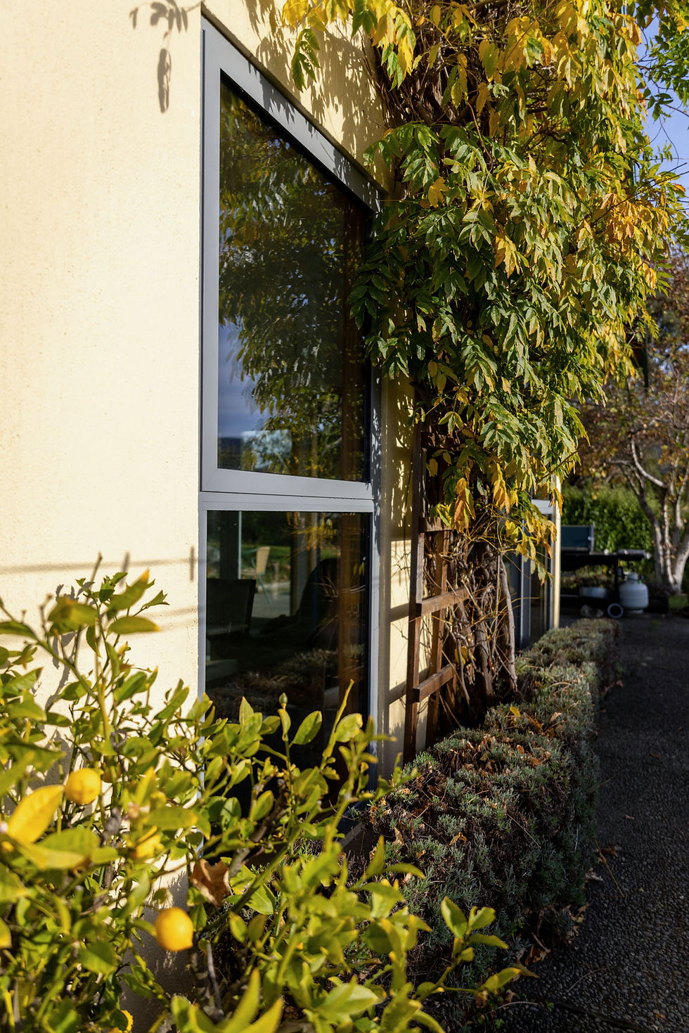 MMTM2364-HDR.jpg