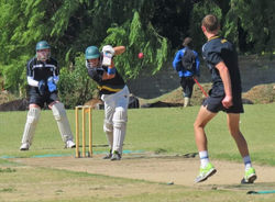 Cricket2