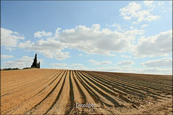 ובי בן שמעון צילו�ם (354)