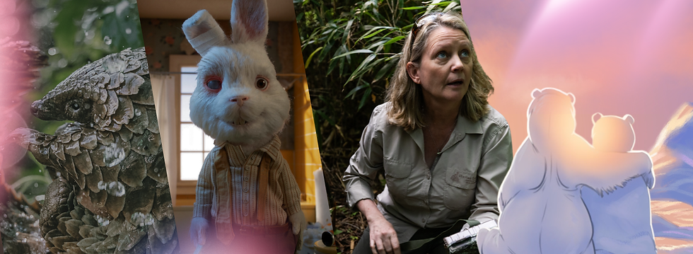 JWMA Webpage Banner Options (1500 x 550 px).png