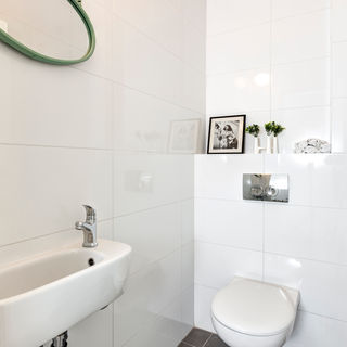 חדר שירותים לבן עם כיור, מראה עגולה, שירותים, תמונות וצמחים. michal-avimor