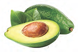 avaocado 1.png
