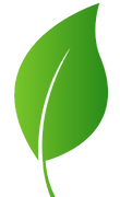 shutterstock_231913483_edited.png