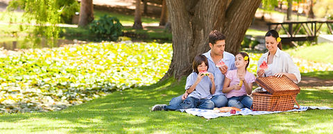 shutterstock_73603129_edited.jpg