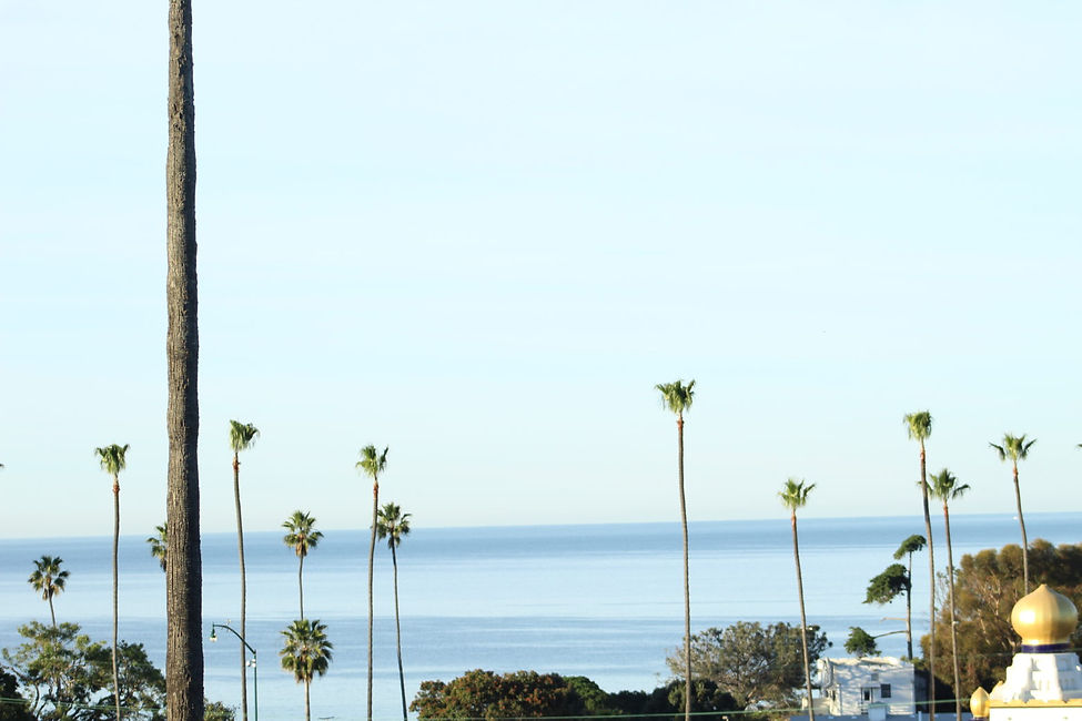 Palm-Trees-Encinitas-Swamis-Mike-Olivia-