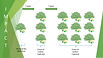 Impact to the environment