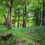 Thumbnail: Mountains to Sea - 2 Day Wild Camp Adventure