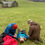 Thumbnail: Tirio REC Advanced Outdoor First Aid Course Level 4