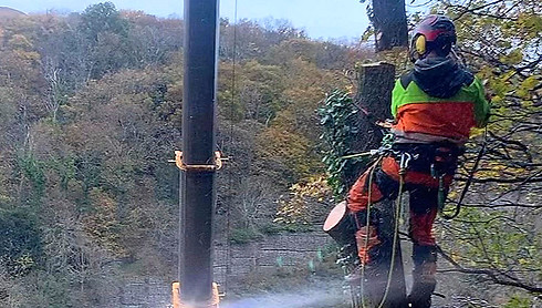 EFAW Plus F Tree Surgery Forestry Crane_