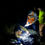 Thumbnail: Tirio REC Advanced Outdoor First Aid Course Level 4