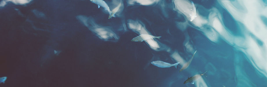 海水