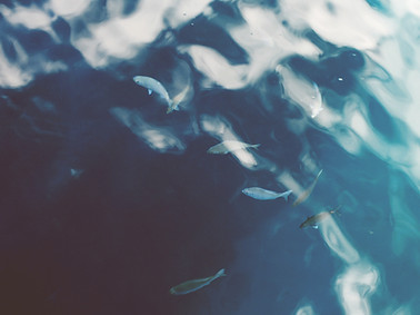 海洋水