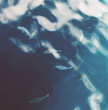 L'eau de mer