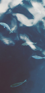 L'eau de mer