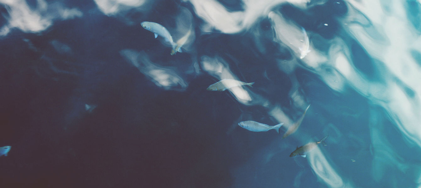 Ocean Water