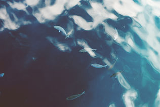 Ocean Water