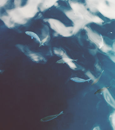 海洋水