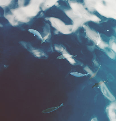 海水