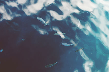 Ocean Water