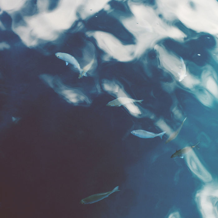 Ocean Water